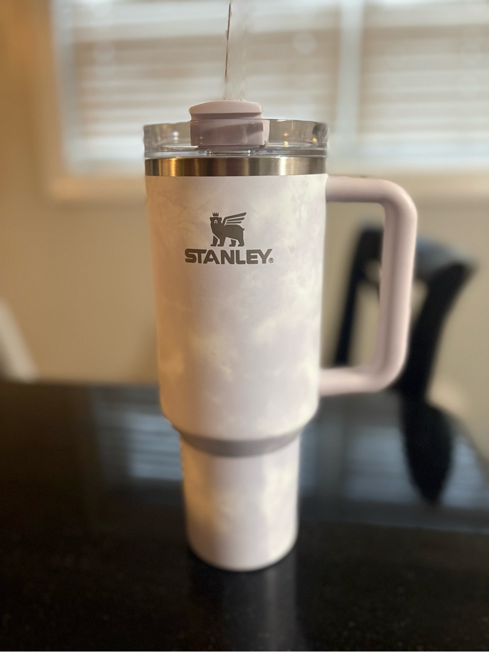 Stanley 40OZ cup
